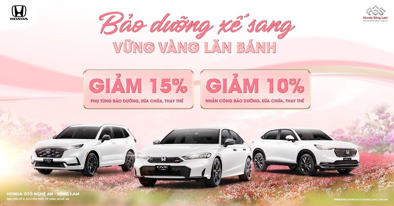 BẢO DƯỠNG XẾ SANG - VỮNG VÀNG LĂN BÁNH