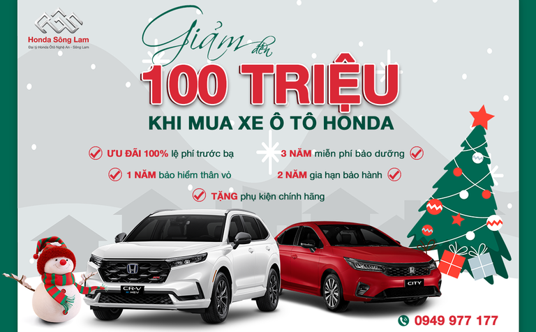 VUI ĐÓN GIÁNG SINH - ƯU ĐÃI LINH ĐÌNH